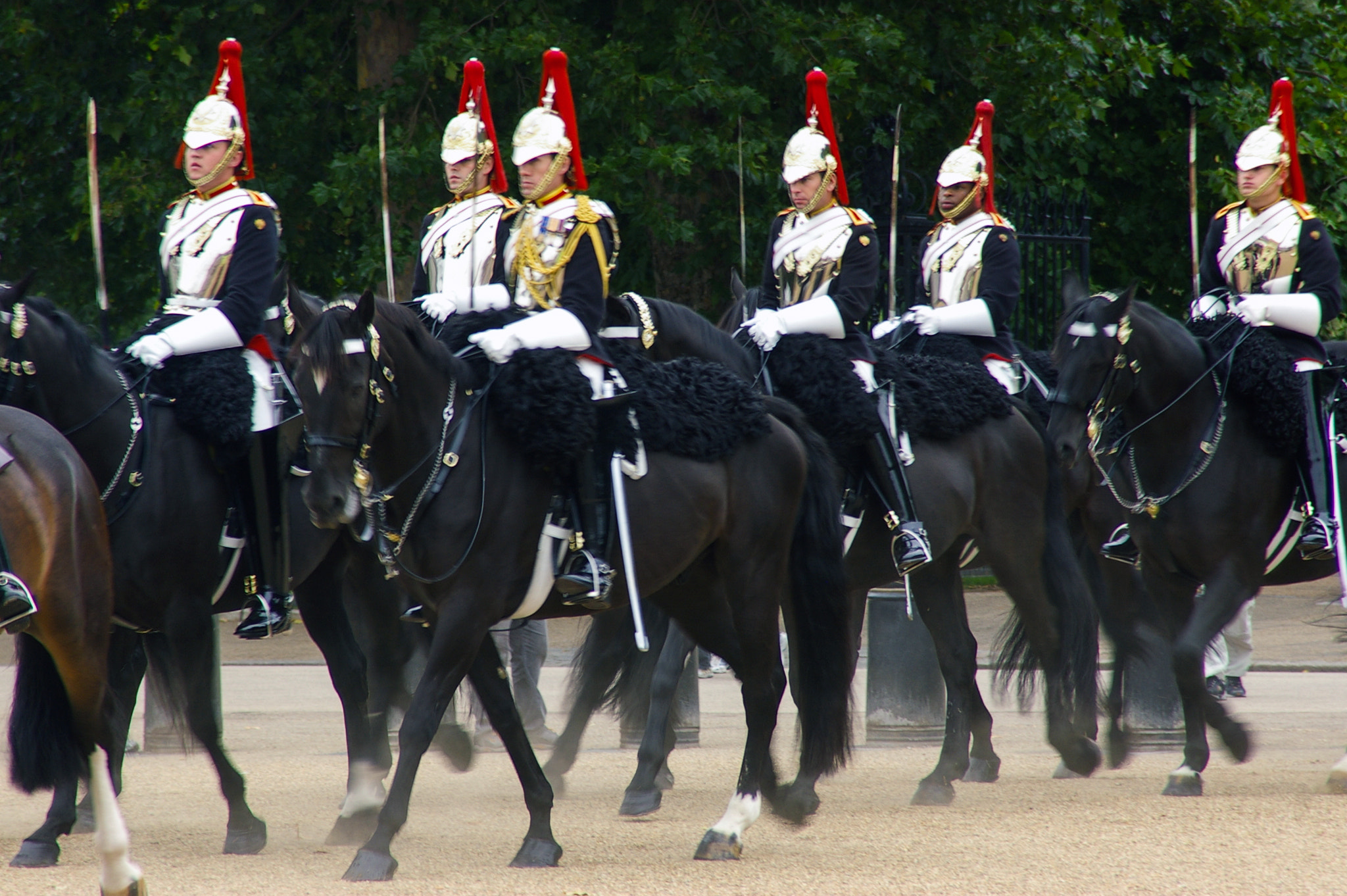 Tamron AF 28-200mm F3.8-5.6 XR Di Aspherical (IF) Macro sample photo. Changing of the guard photography