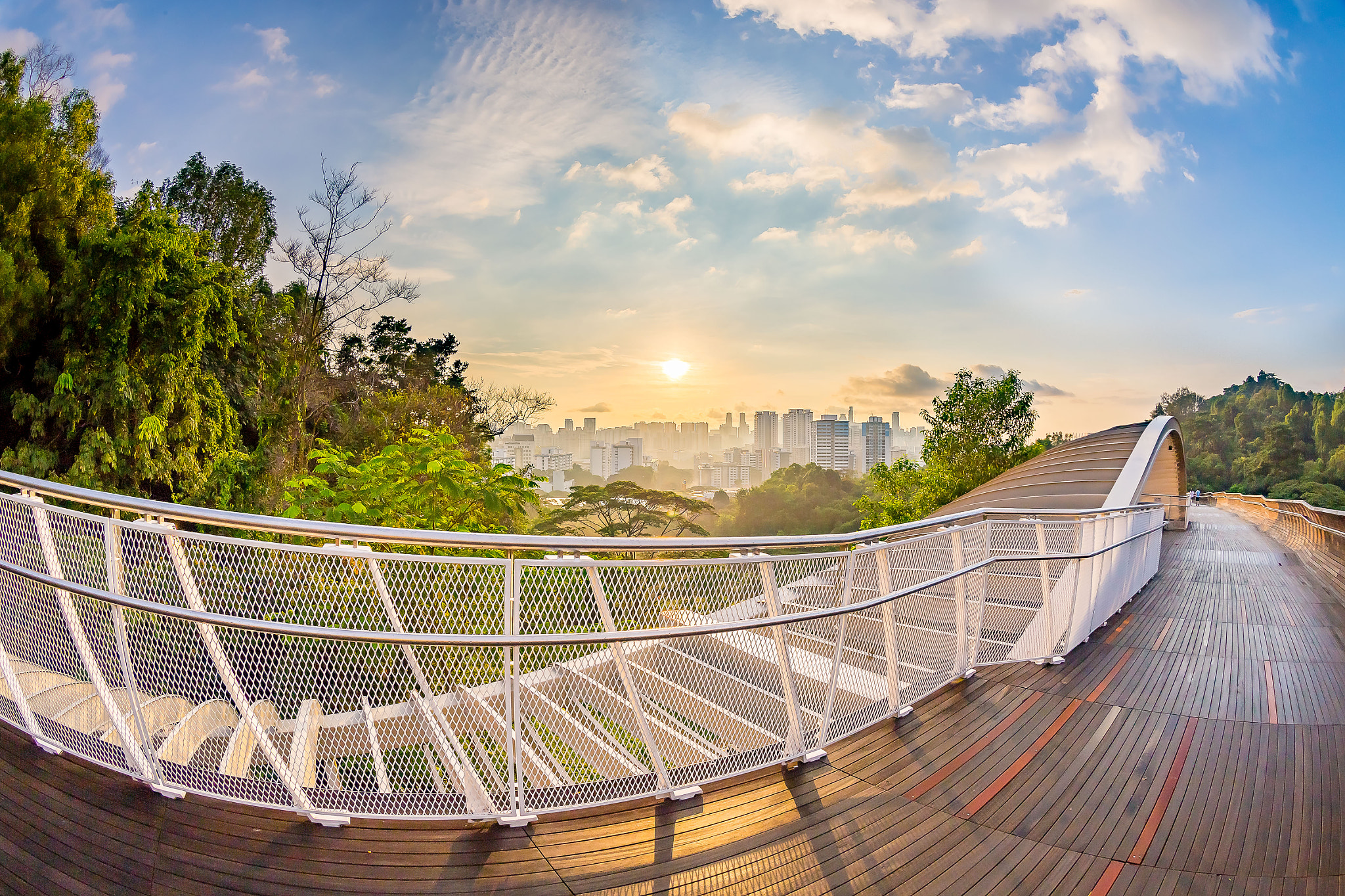 Canon EF 8-15mm F4L Fisheye USM sample photo. Henderson wave bridge (singapore) photography