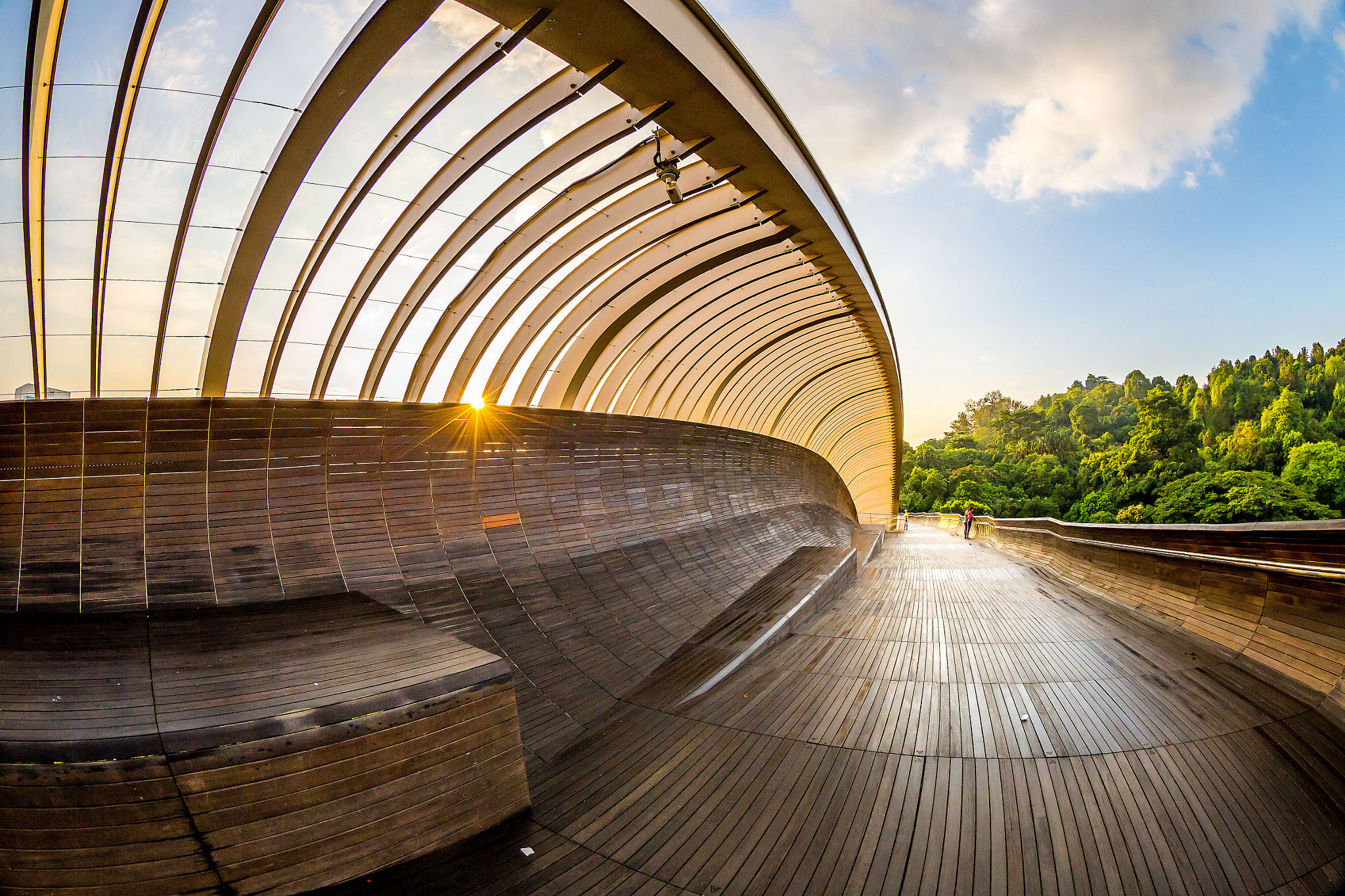 Canon EF 8-15mm F4L Fisheye USM sample photo. Henderson wave bridge (singapore) photography