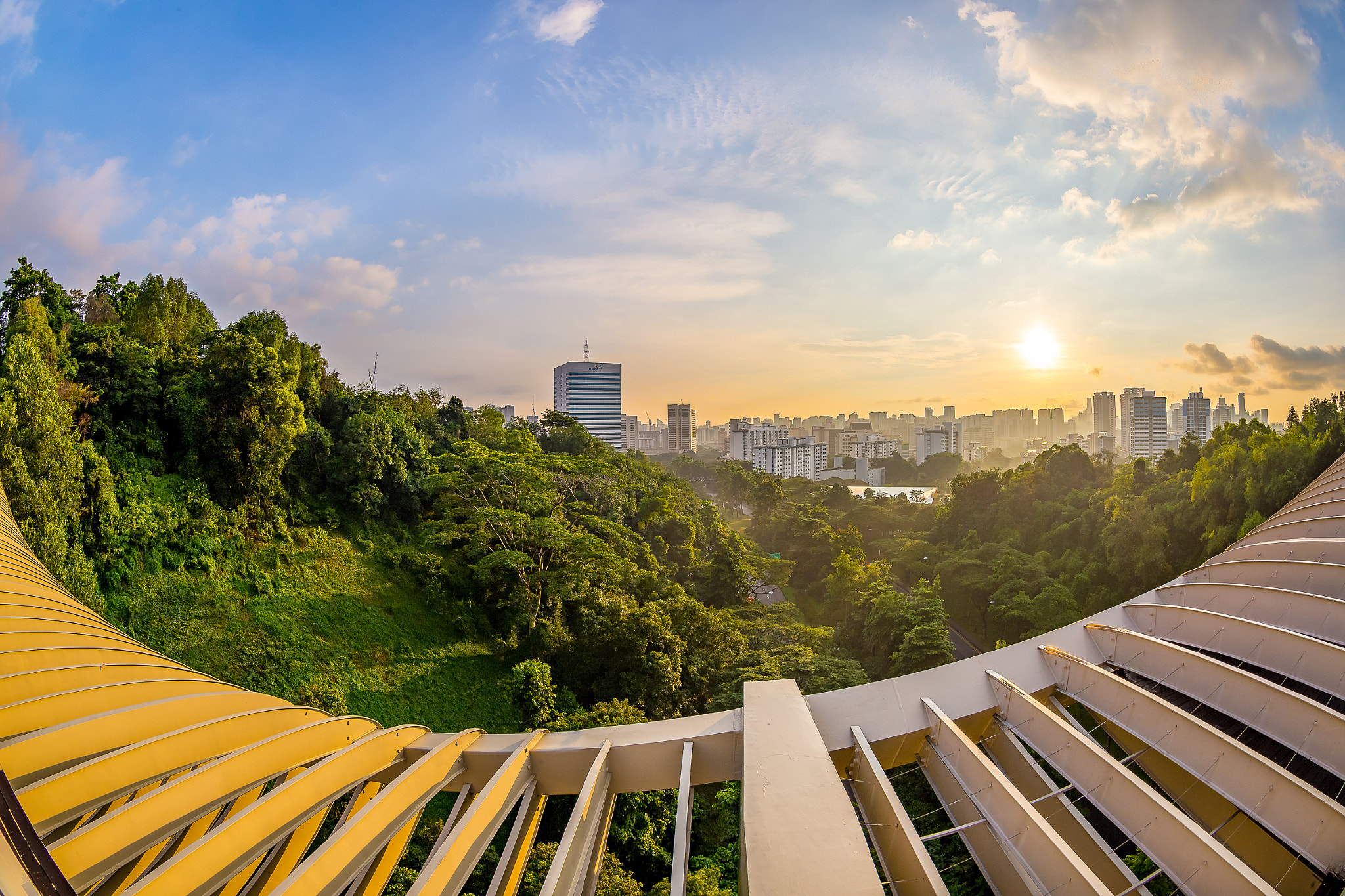 Canon EF 8-15mm F4L Fisheye USM sample photo. Henderson wave bridge (singapore) photography