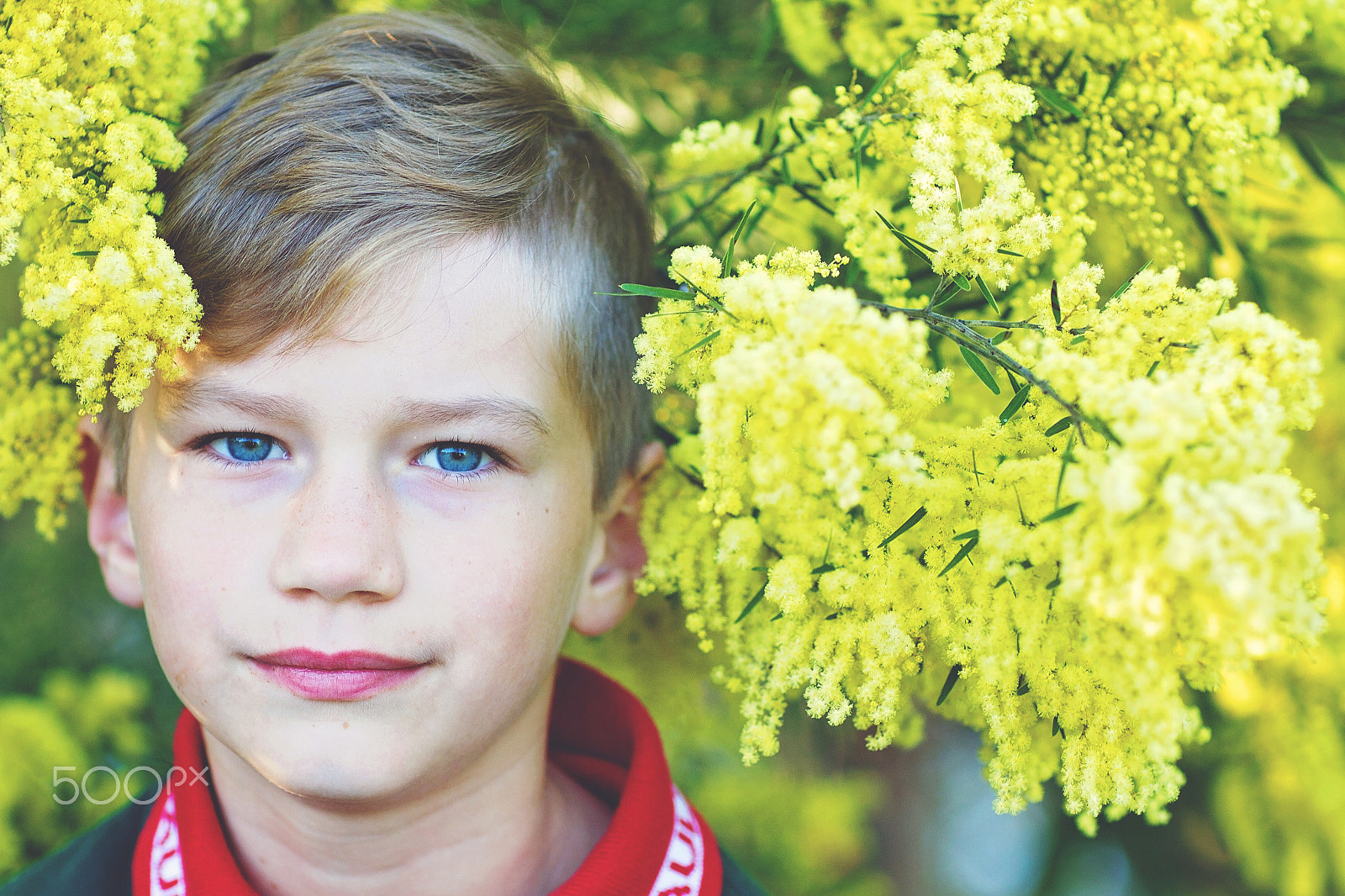 Canon EOS 7D + Canon EF 85mm F1.2L II USM sample photo. Boy in the wattle photography