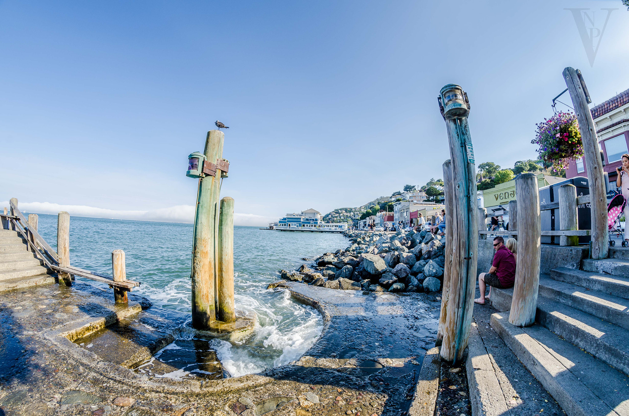 Nikon D7000 + Samyang 8mm F3.5 Aspherical IF MC Fisheye sample photo. Dsc_1539.jpg photography