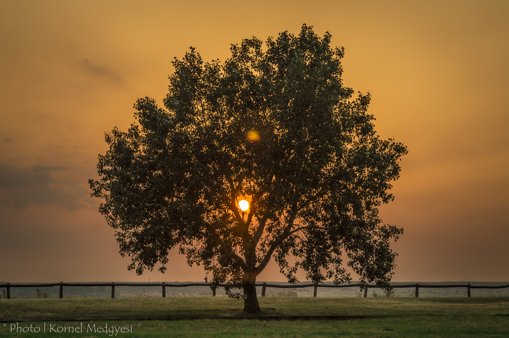 Tamron SP 24-70mm F2.8 Di VC USD sample photo. Alone in the sunset photography