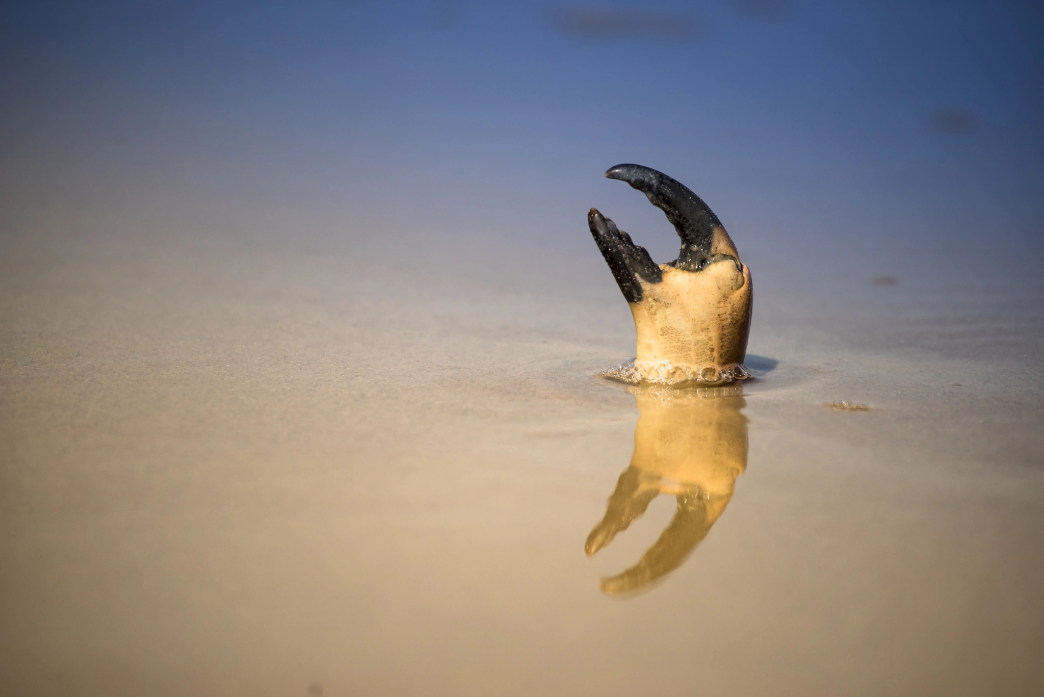Canon EF 100-400mm F4.5-5.6L IS USM sample photo. Summer is golden photography