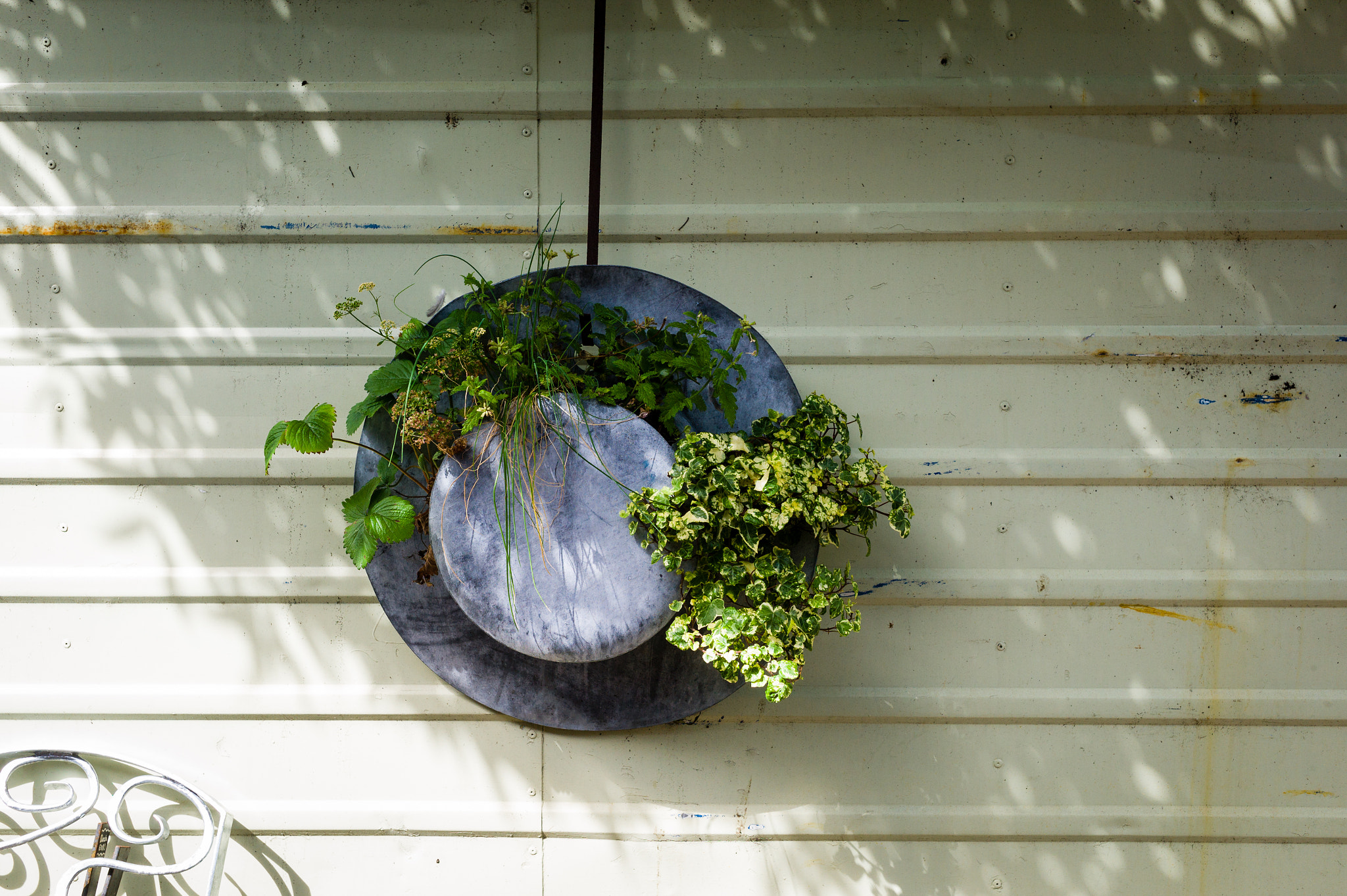 Leica M9 + Leica Summarit-M 35mm F2.5 sample photo. Metal bowl photography