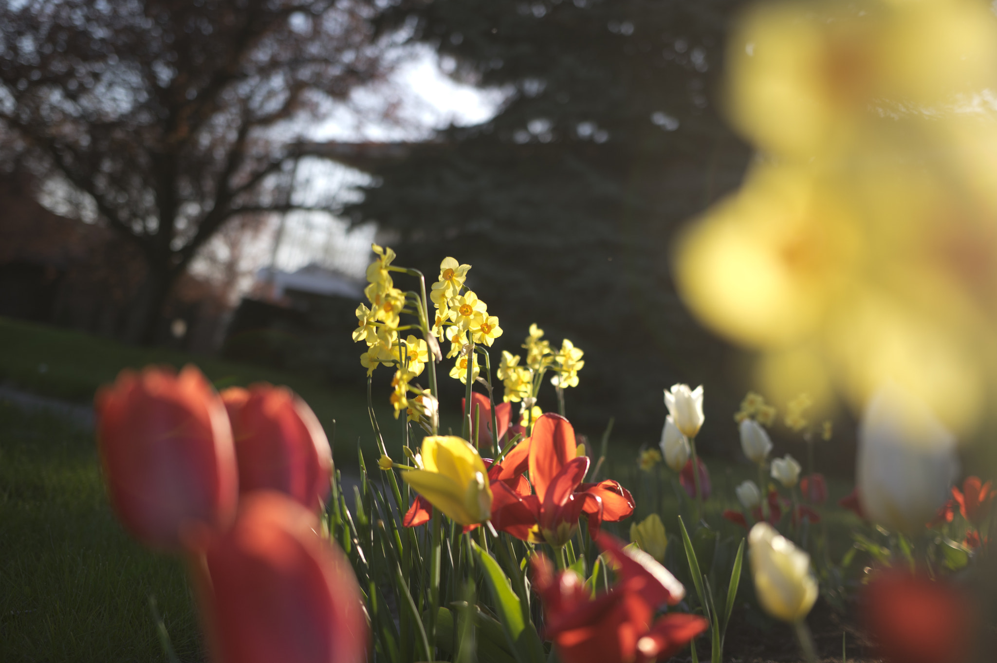 Pentax K-3 + Sigma 18-35mm F1.8 DC HSM Art sample photo. Exceptional photography