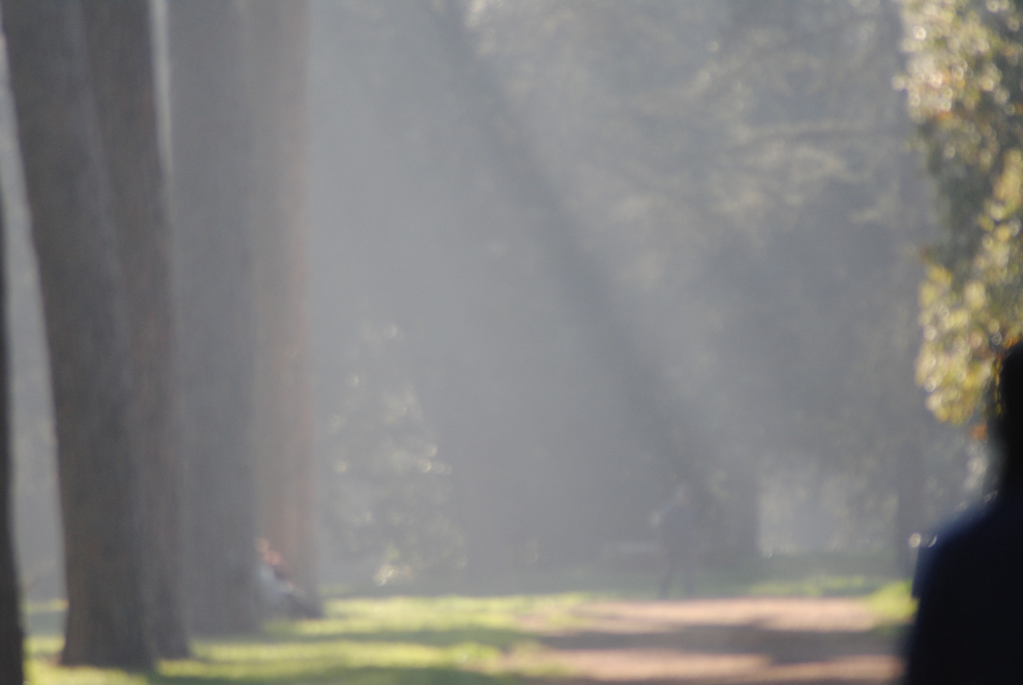 AF Zoom-Nikkor 70-300mm f/4-5.6D ED sample photo. Dicembre photography