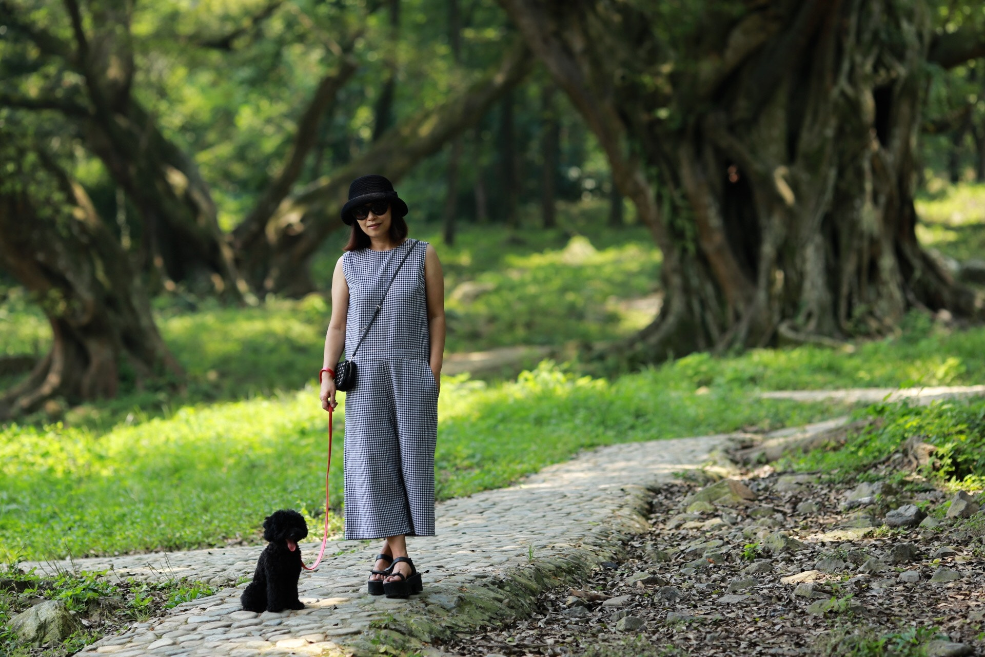 Canon EF 135mm F2L USM sample photo