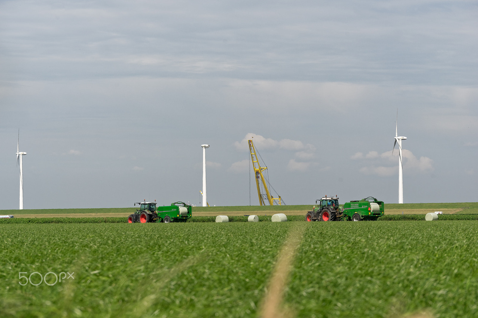 Sony a7 II + Sony FE 70-200mm F4 G OSS sample photo. Haying in noord-oost polder photography