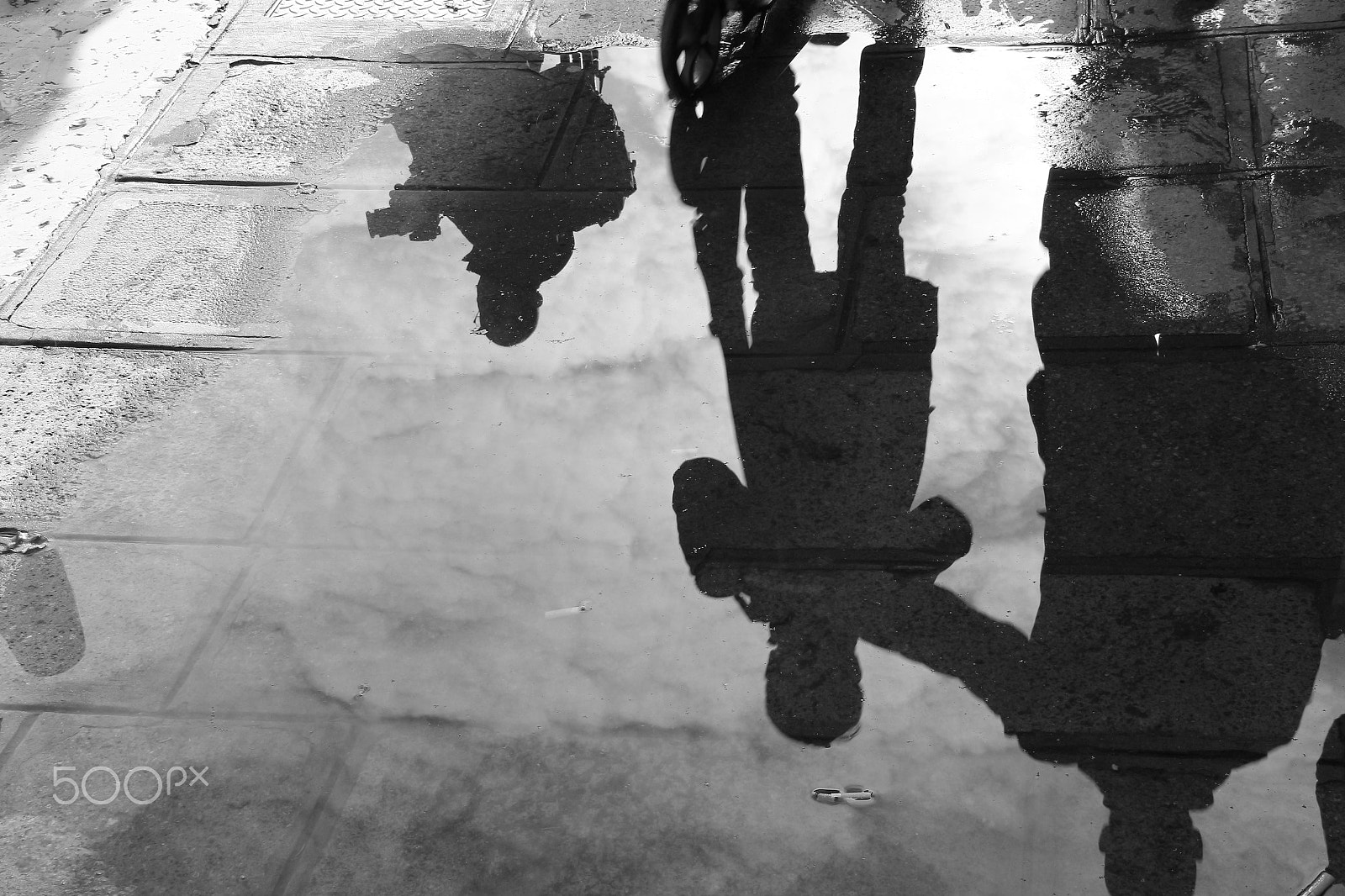 Canon EOS 100D (EOS Rebel SL1 / EOS Kiss X7) + Sigma 18-200mm f/3.5-6.3 DC OS HSM [II] sample photo. Giant in a puddle photography