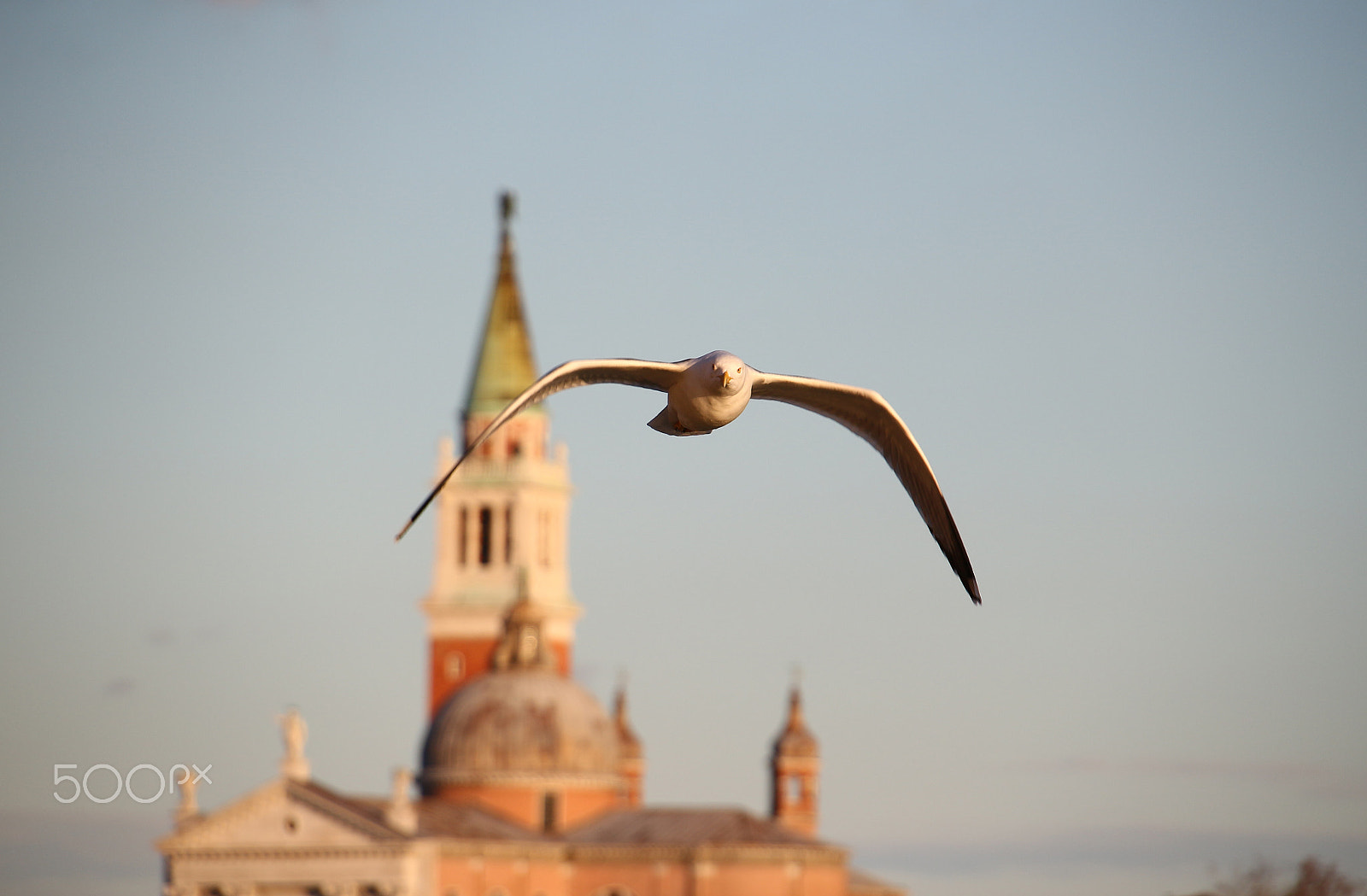 Canon EOS 100D (EOS Rebel SL1 / EOS Kiss X7) sample photo. Seagull and church photography