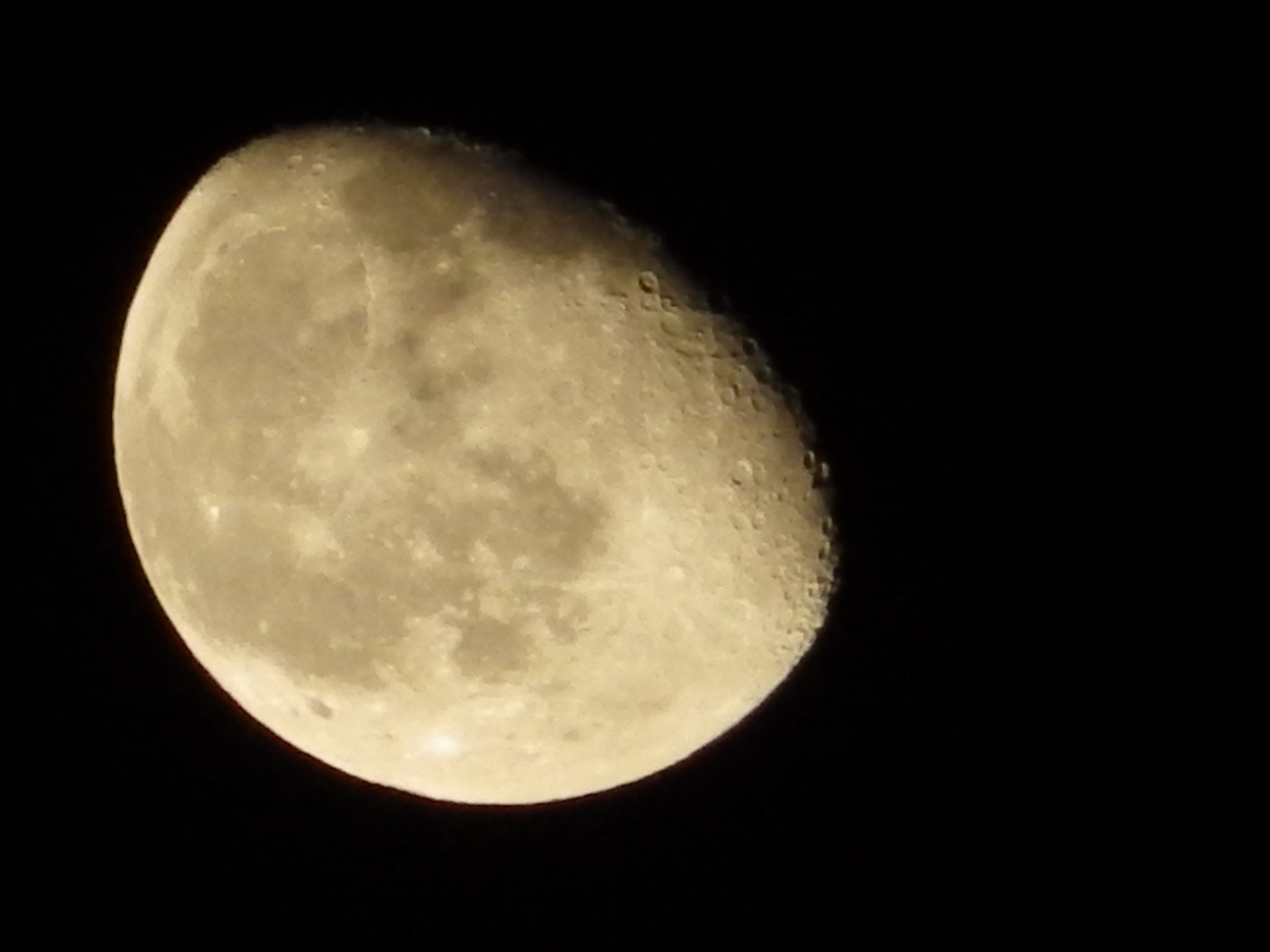 Pentax X-5 sample photo. *** photography