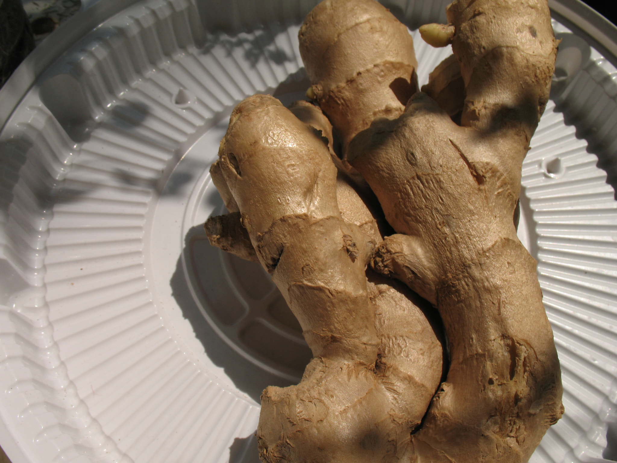 Canon POWERSHOT A630 sample photo. The root of fragrant ginger ( spice ). photography