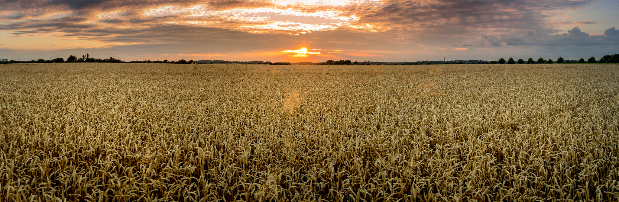Sony SLT-A68 sample photo. The sun panorama photography