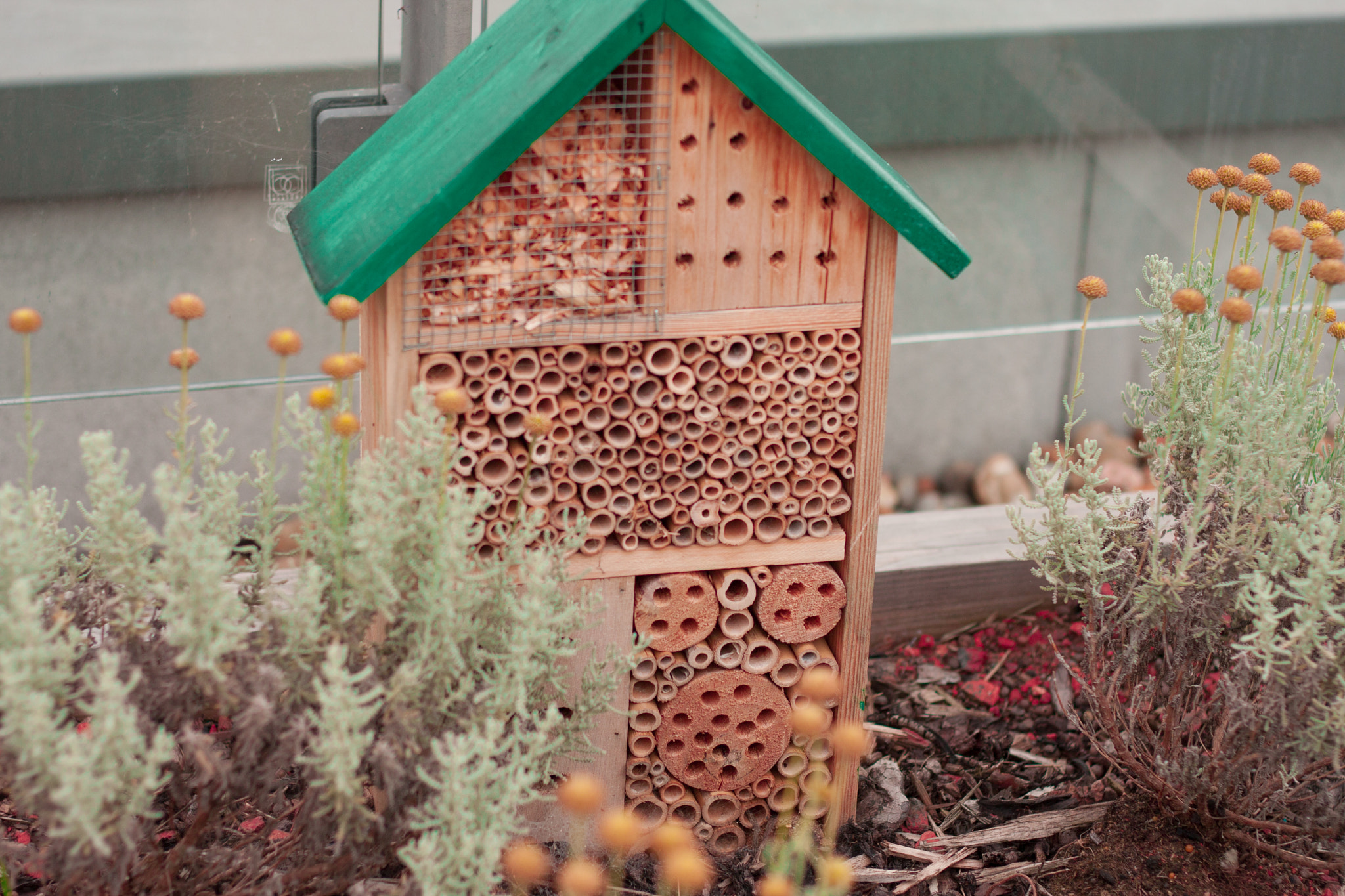 Canon EOS 40D + Canon EF 50mm F1.8 II sample photo. Insect mansion photography
