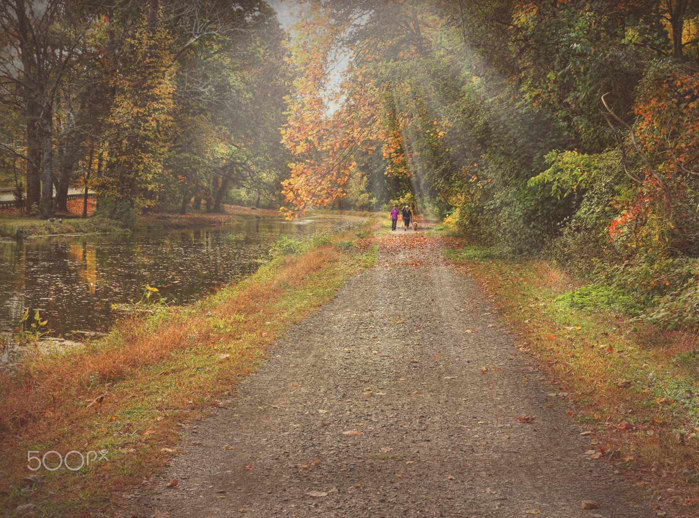 Canon EOS 40D + Sigma 18-50mm f/2.8 Macro sample photo. Autumn walk along the towpath photography