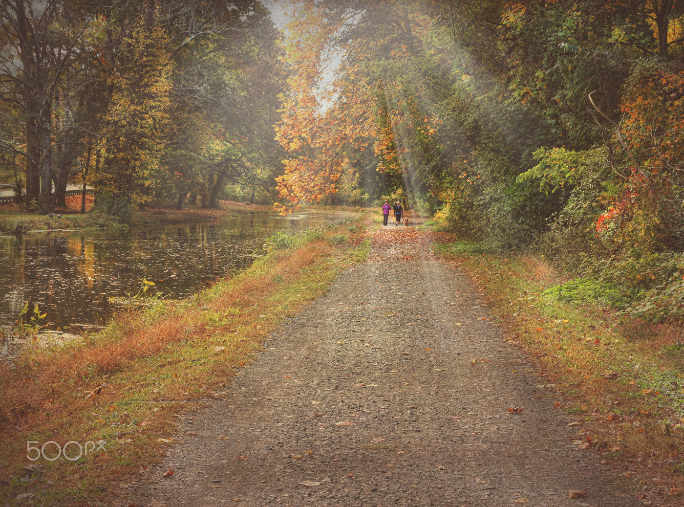 Sigma 18-50mm f/2.8 Macro sample photo. Autumn walk along the towpath photography