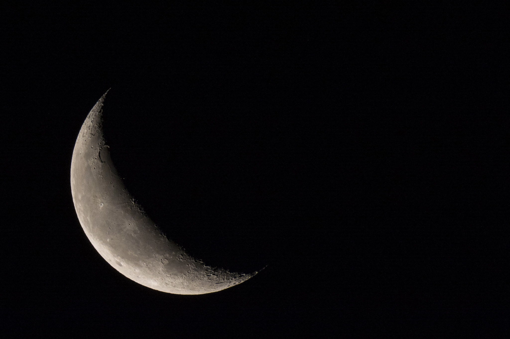Nikon AF-S Nikkor 200-500mm F5.6E ED VR sample photo. Fading out photography