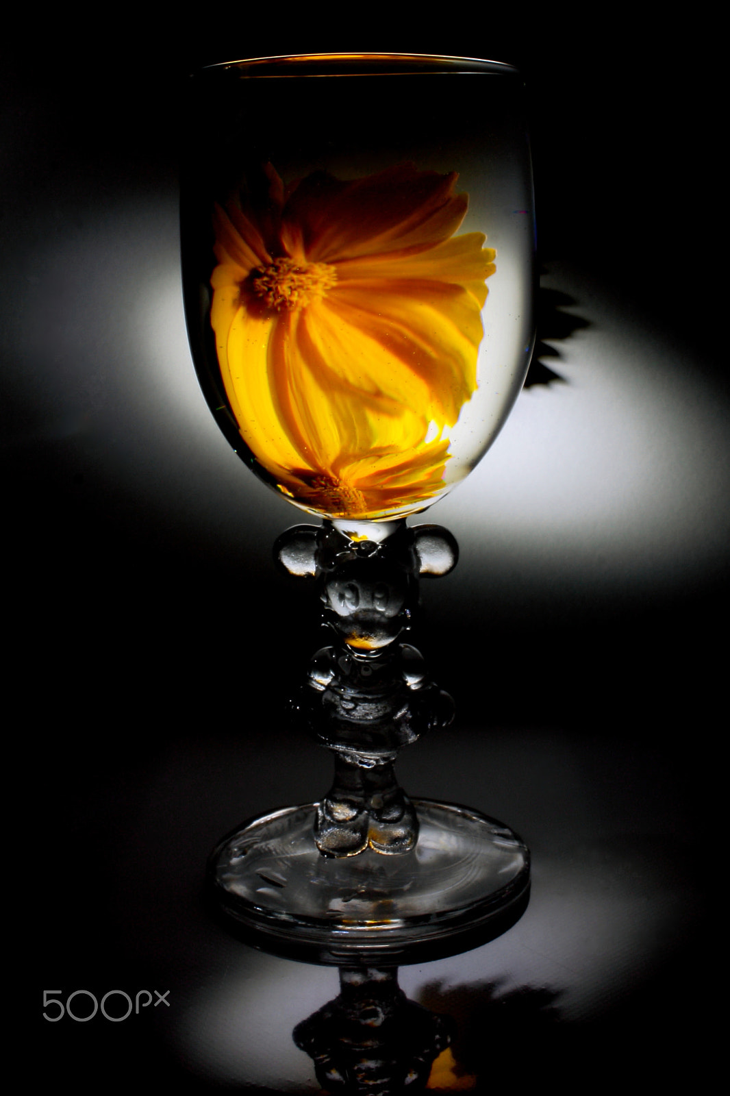 Canon EF-S 24mm F2.8 STM sample photo. Water flower photography