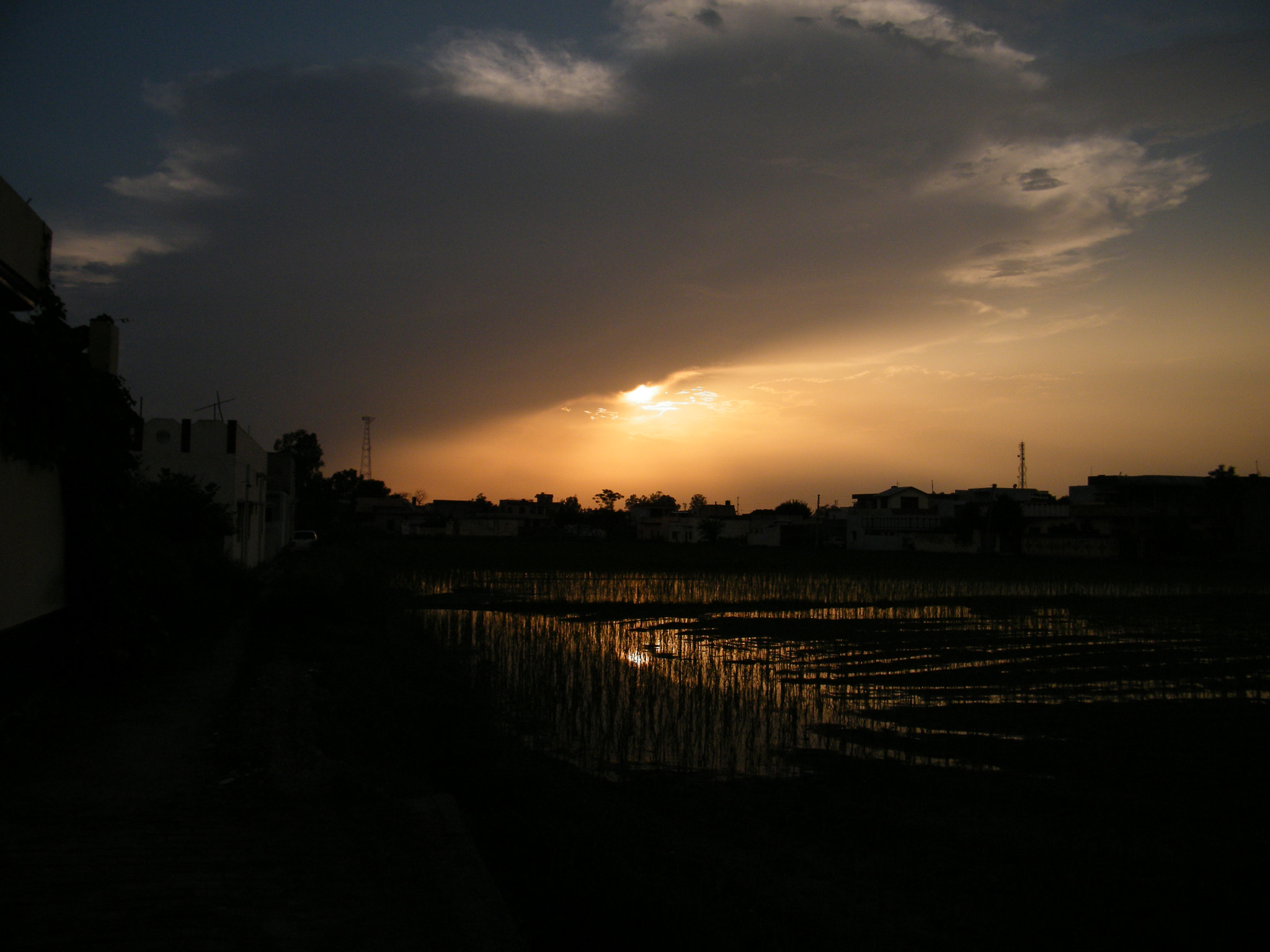 Fujifilm FinePix S2000HD sample photo. Sunset photography