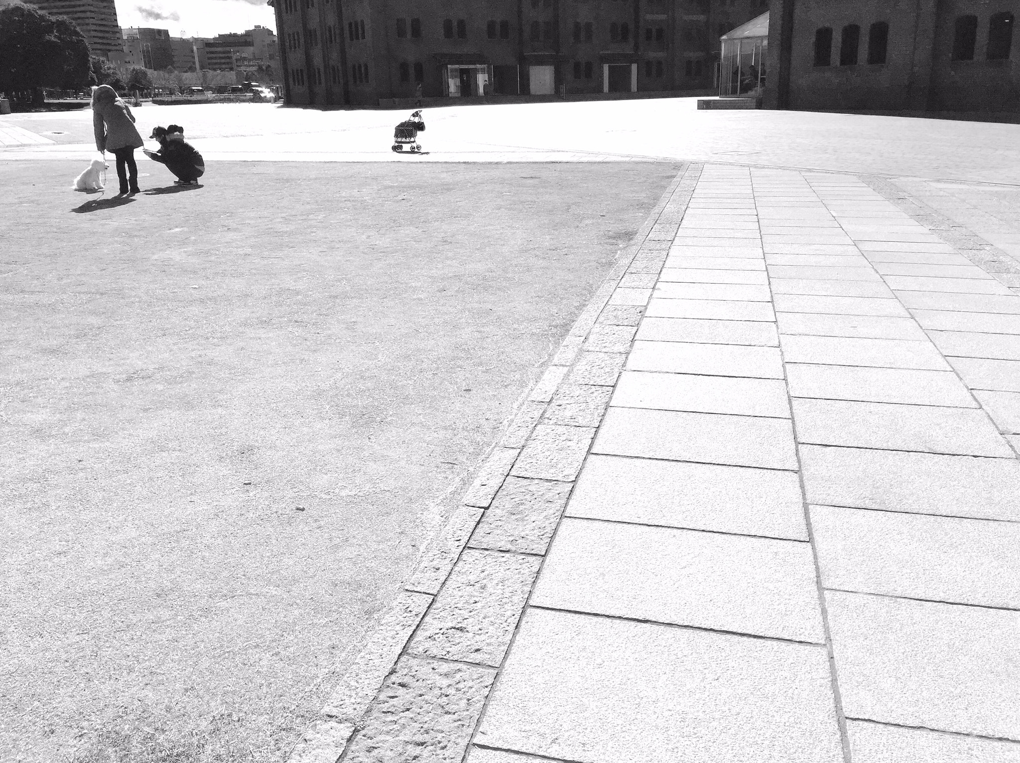 Apple iPhone7,1 sample photo. Affectionate scene photography