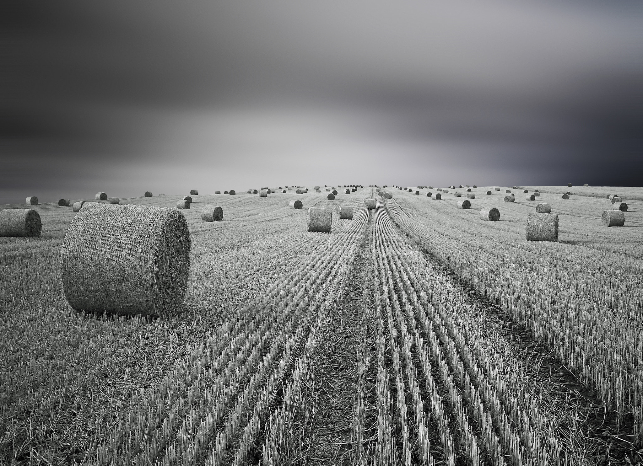 Panasonic Lumix DMC-GF1 sample photo. Dark harvest photography