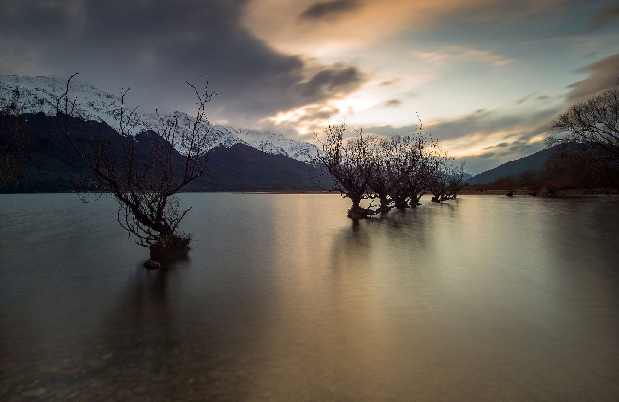 Nikon D600 sample photo. Glenorchy trees photography