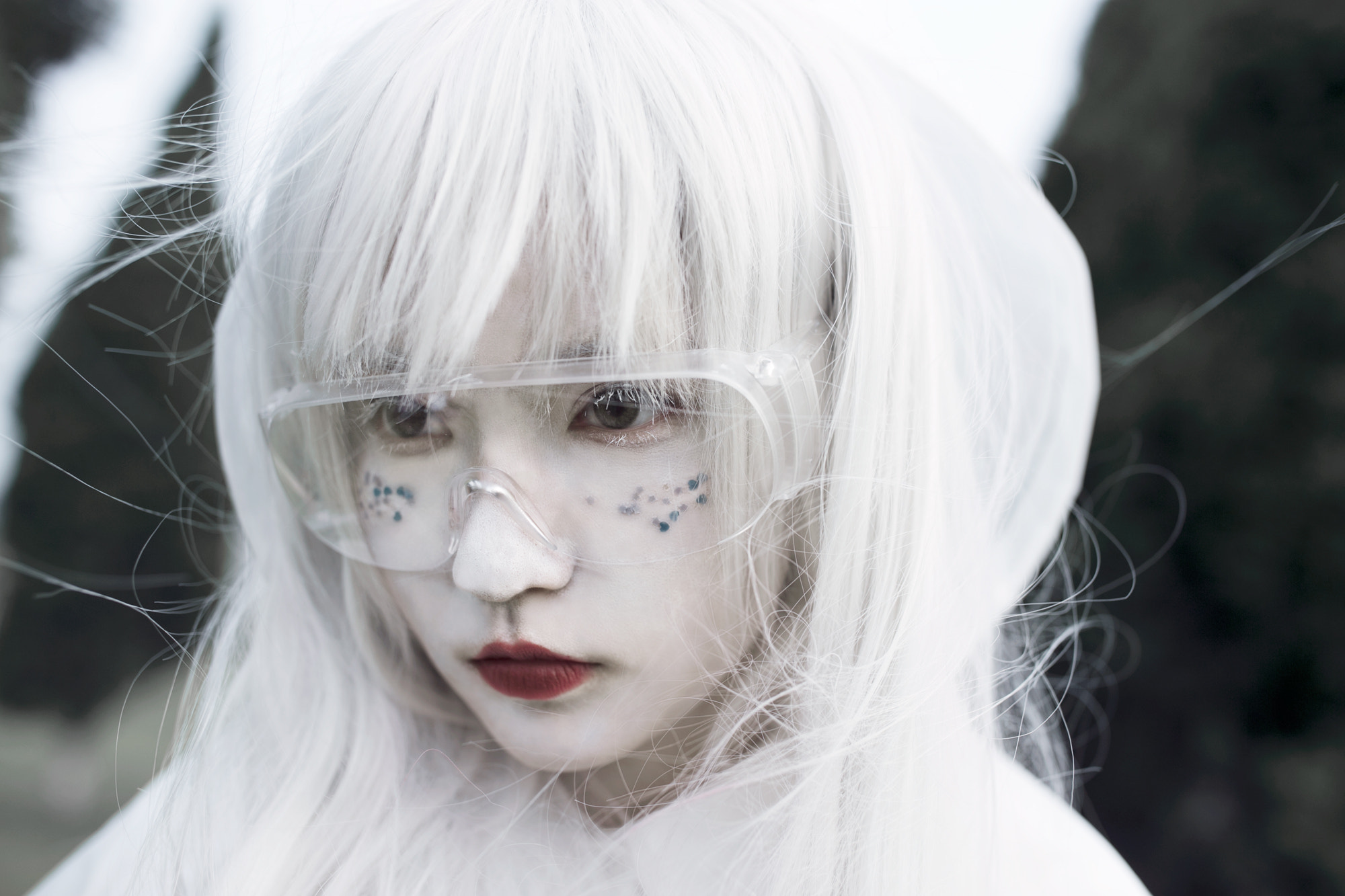 Canon EF 35mm F1.4L II USM sample photo. 【pegasus】 photography