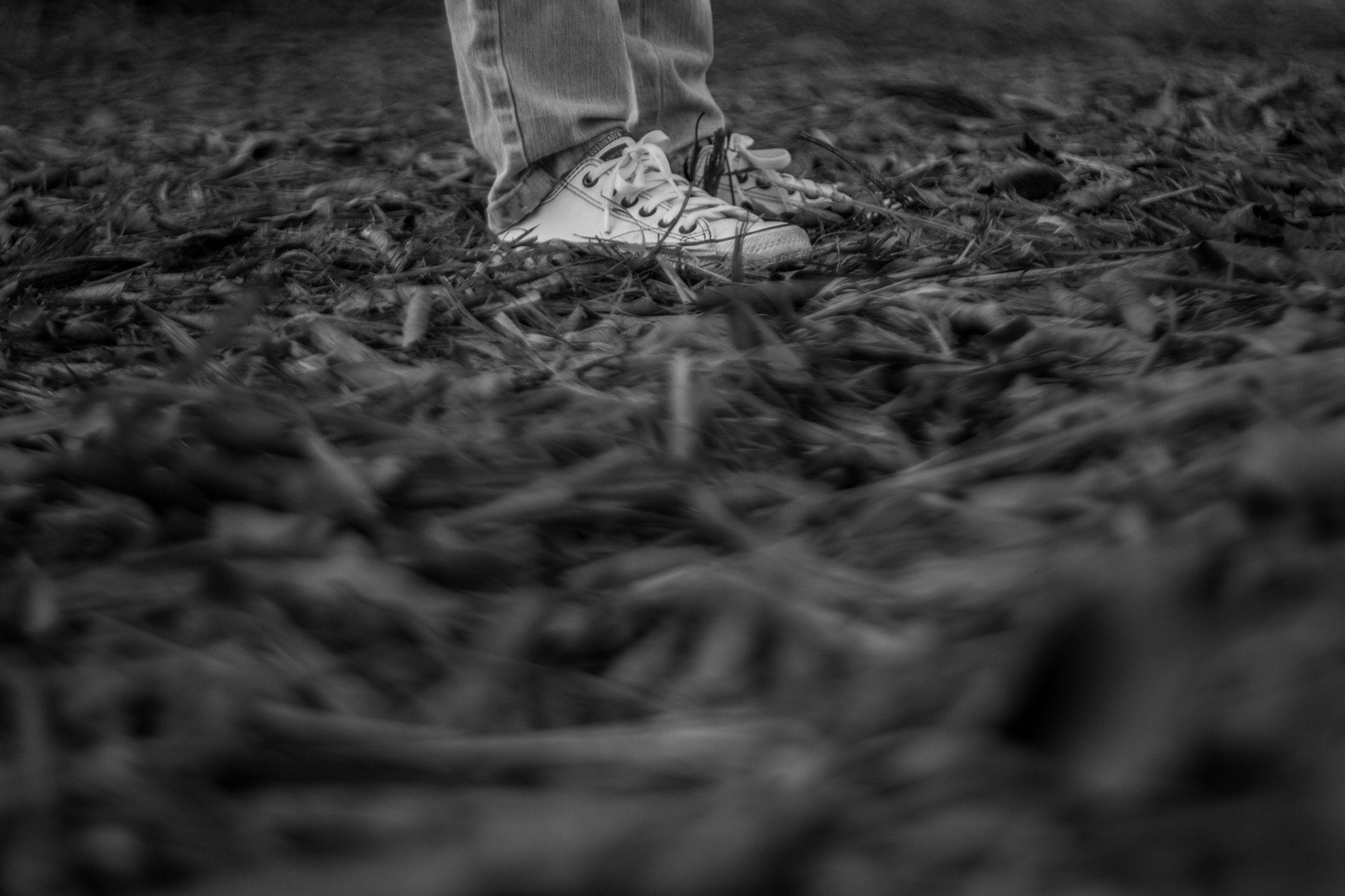 Canon EF 50mm F1.8 II sample photo. In the middle of nowhere  photography