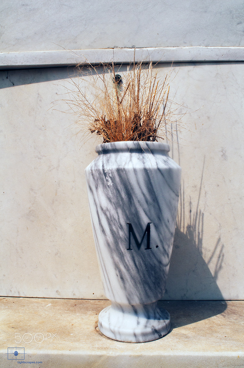 Nikon D90 + Nikon AF Nikkor 20mm F2.8D sample photo. Marble urn with letter m, st. louis cemetery no 1, new orleans photography