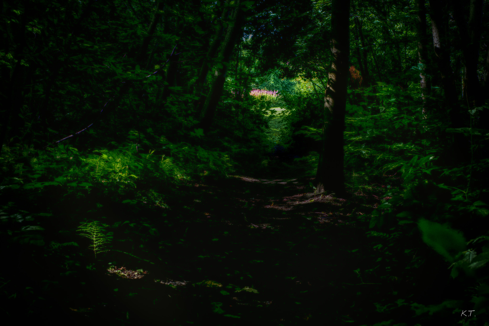 Nikon D610 + Nikon AF Micro-Nikkor 60mm F2.8D sample photo. It is a summer out there photography