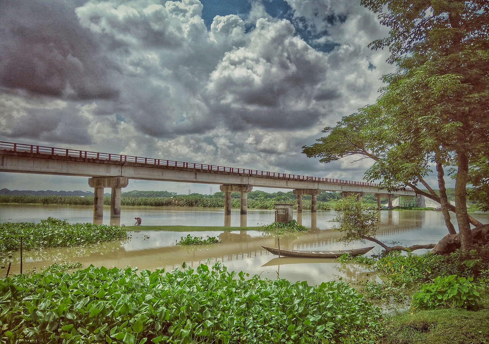 OPPO A51w sample photo. Barisal,  bangladesh. photography