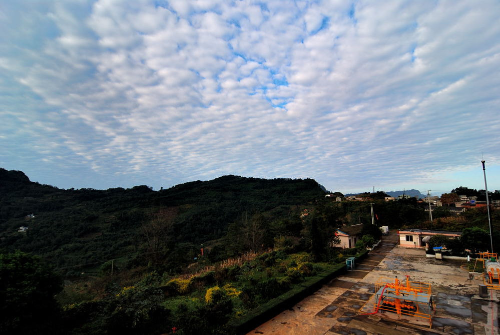 Nikon D80 sample photo. 【vd视觉记忆】【2012.11.08】日常 photography