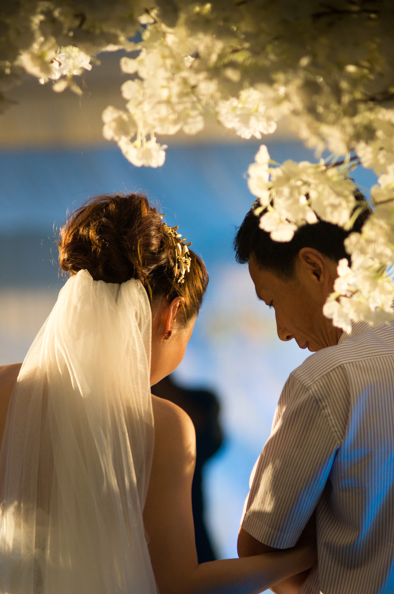 Sony SLT-A37 + Minolta AF 200mm F2.8 APO sample photo. Bride and her father photography