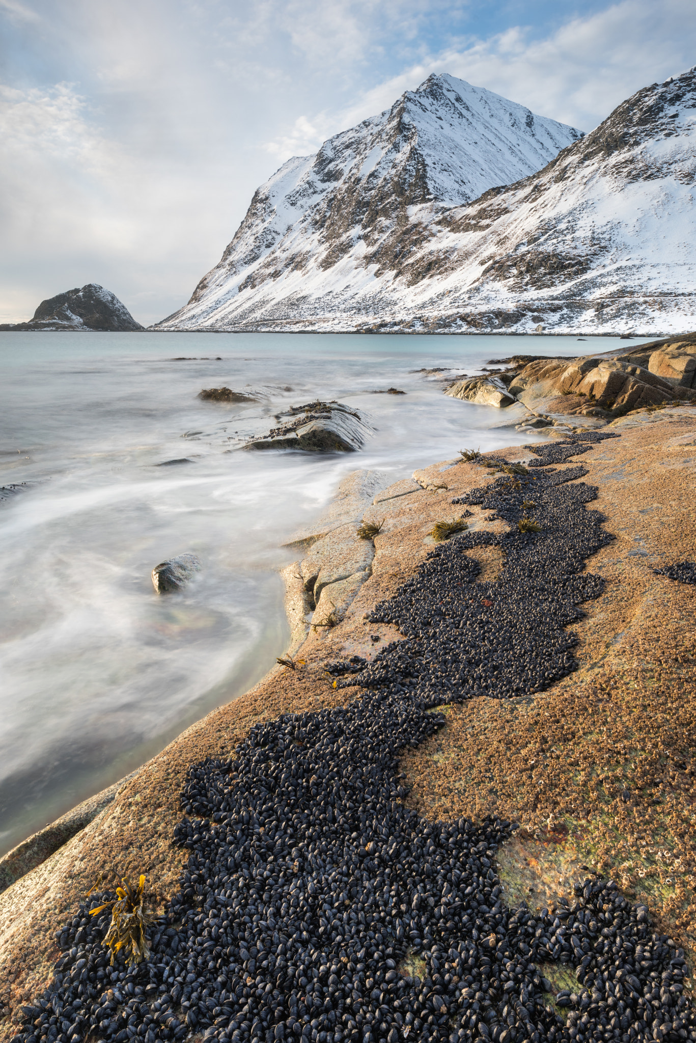 Nikon D810 + Nikon PC-E Nikkor 24mm F3.5D ED Tilt-Shift sample photo. Haukland #2 photography