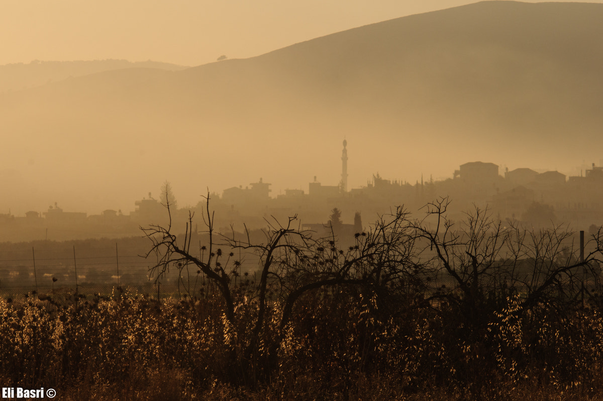 Nikon D300S sample photo. Israeli landscape photography