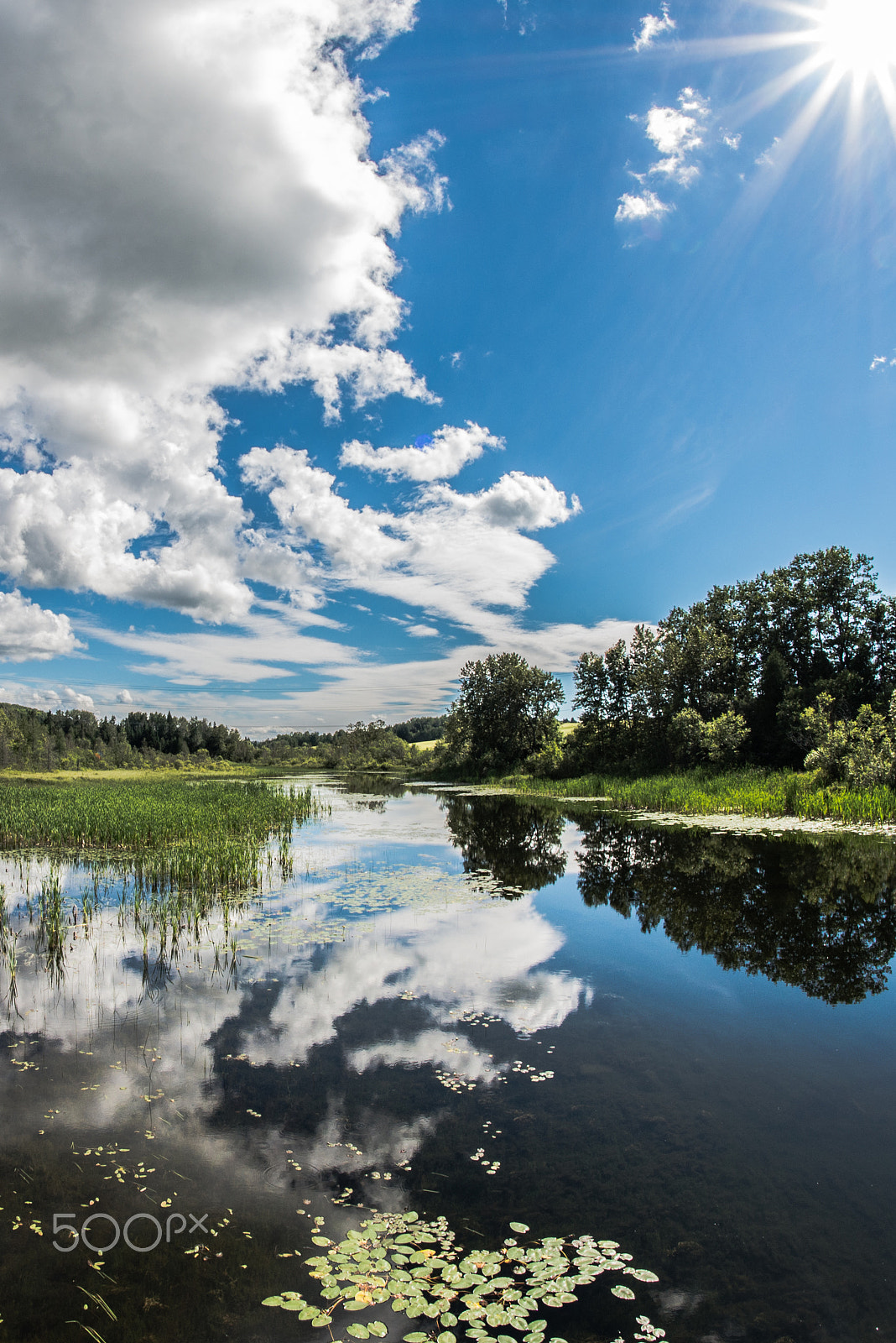 Samyang 12mm F2.8 ED AS NCS Fisheye sample photo. The beauty of the summer reflecting in the river photography