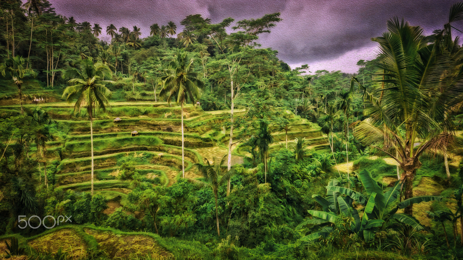 Panasonic Lumix DMC-G5 sample photo. Bali rice terraces photography