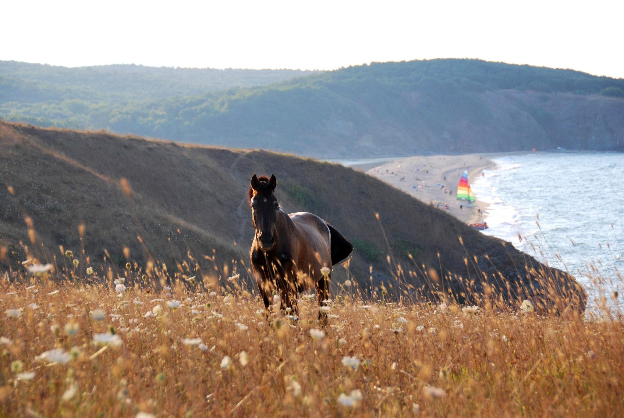 Nikon D60 sample photo. Veleka beach, sinemorets photography