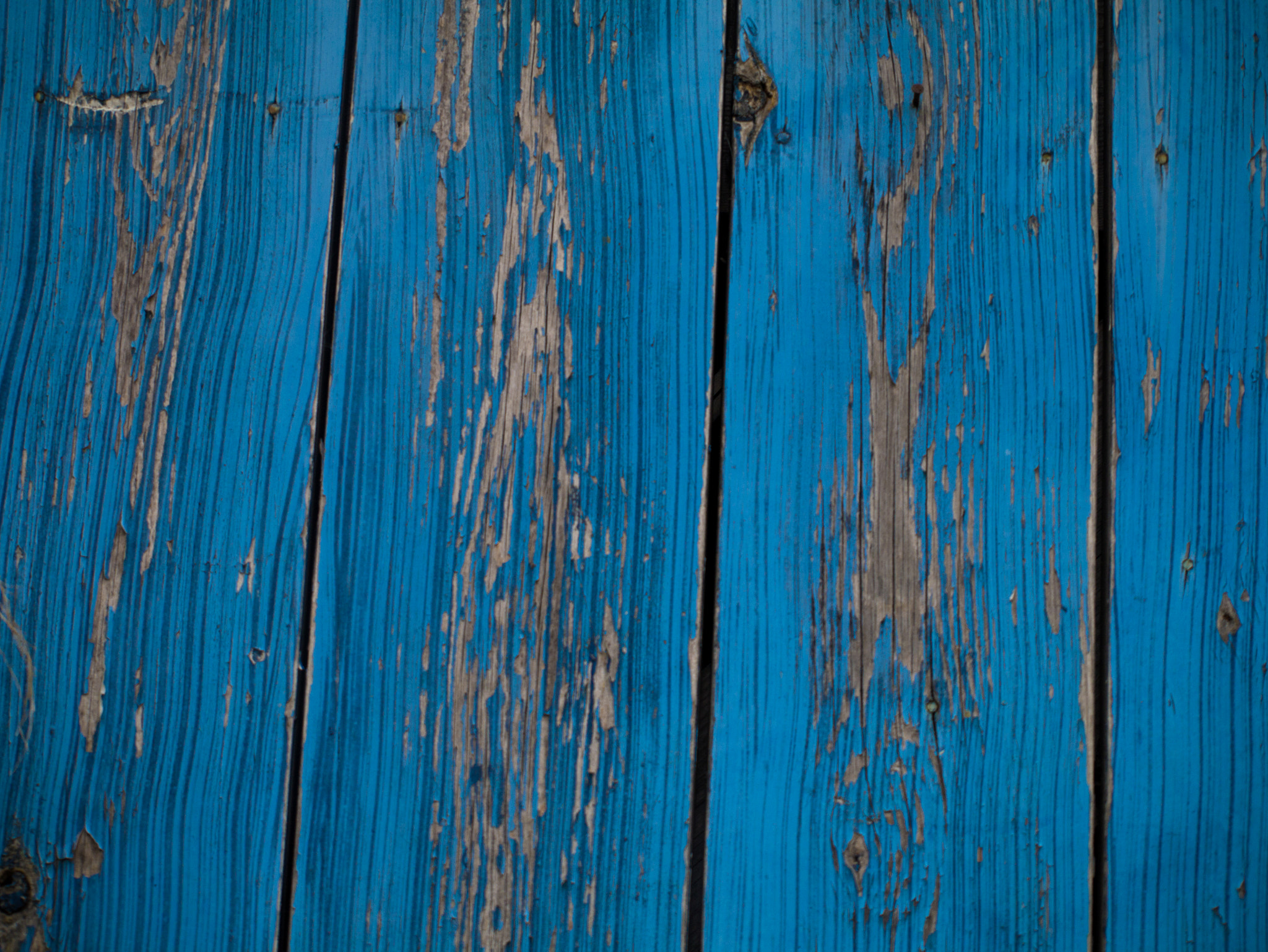 Panasonic Lumix DMC-G3 sample photo. Blue wood photography