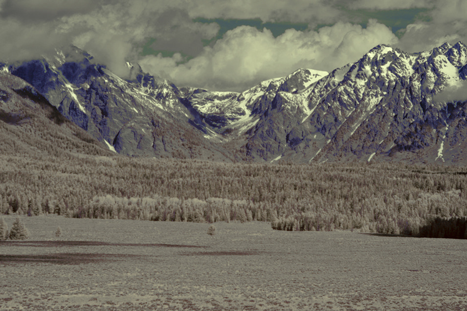 Nikon AF-S Nikkor 24-120mm F4G ED VR sample photo. Grand teton np photography