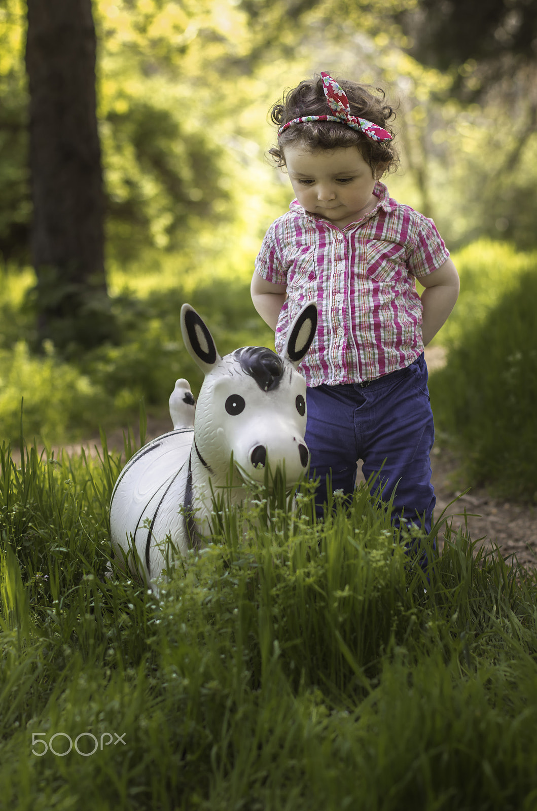 Pentax K-5 + Pentax smc DA* 55mm F1.4 SDM sample photo. The girl and the donkey photography