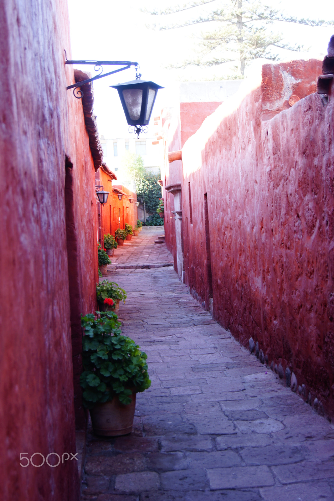 Sony Alpha DSLR-A500 + Sony DT 18-55mm F3.5-5.6 SAM sample photo. Calle sevilla in st. catherine monastery photography