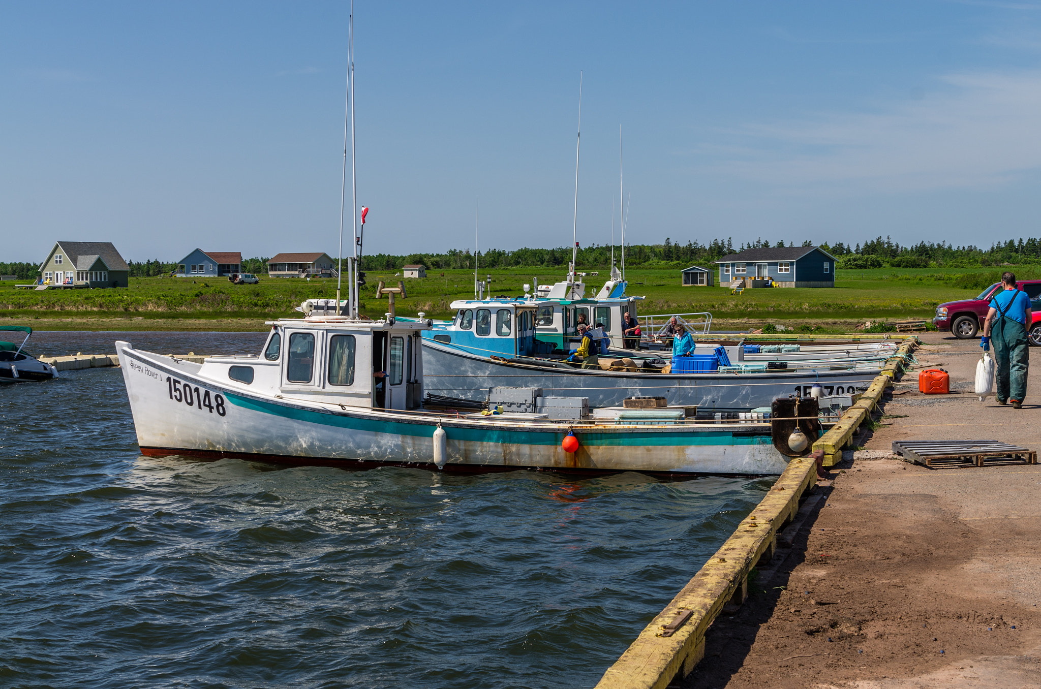 Tamron AF 28-75mm F2.8 XR Di LD Aspherical (IF) sample photo. I p e photography