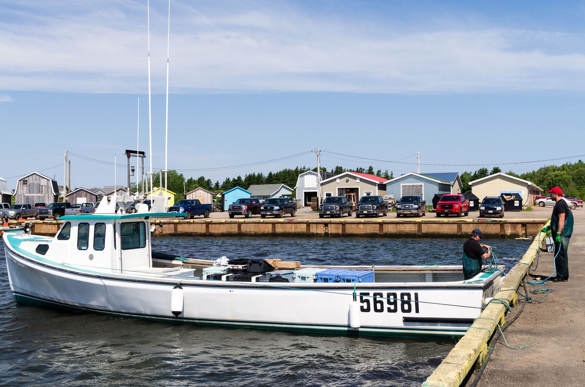Tamron AF 28-75mm F2.8 XR Di LD Aspherical (IF) sample photo. I p e photography