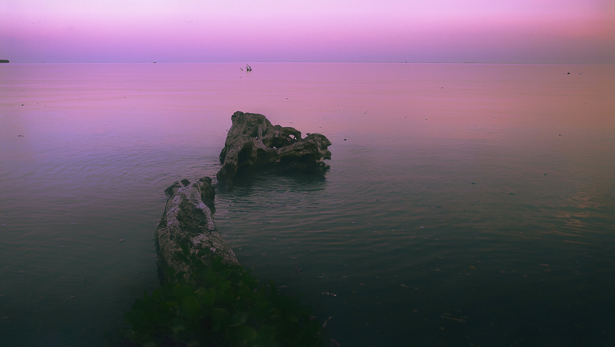 Olympus PEN E-PL3 sample photo