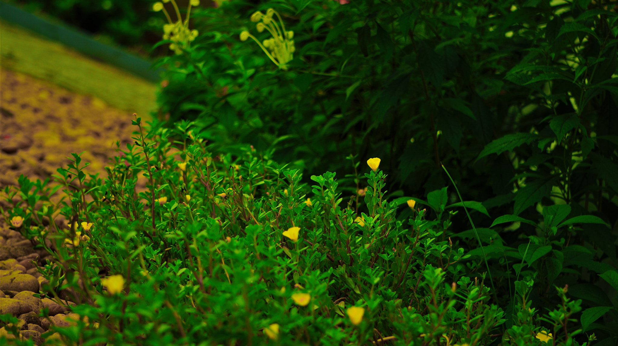 Sony FE 24-240mm F3.5-6.3 OSS sample photo. Nothing is exactly the same photography