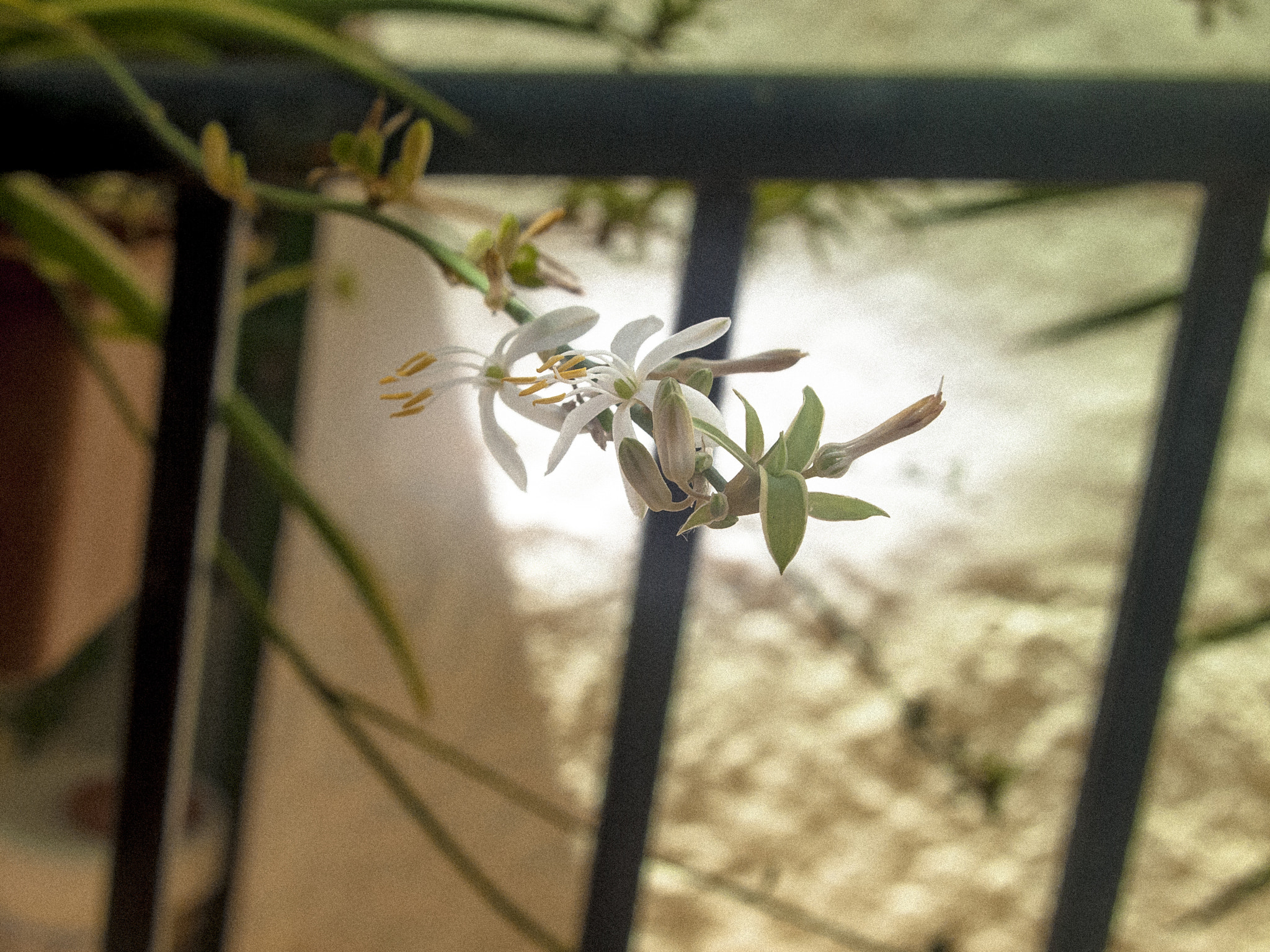 Olympus PEN E-P1 sample photo