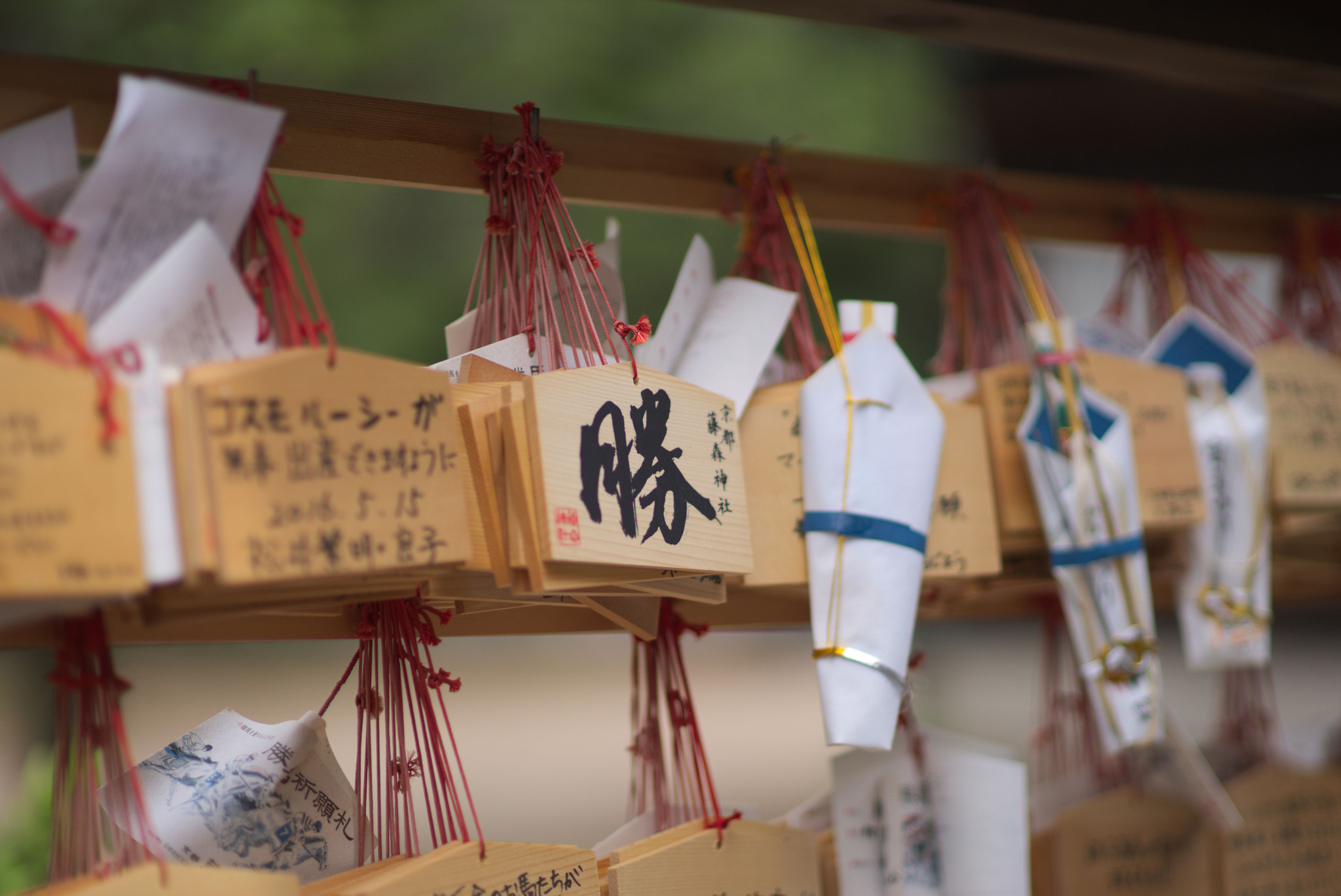 Sony a99 II + Minolta AF 85mm F1.4 G (D) sample photo. Dsc00299.jpg photography