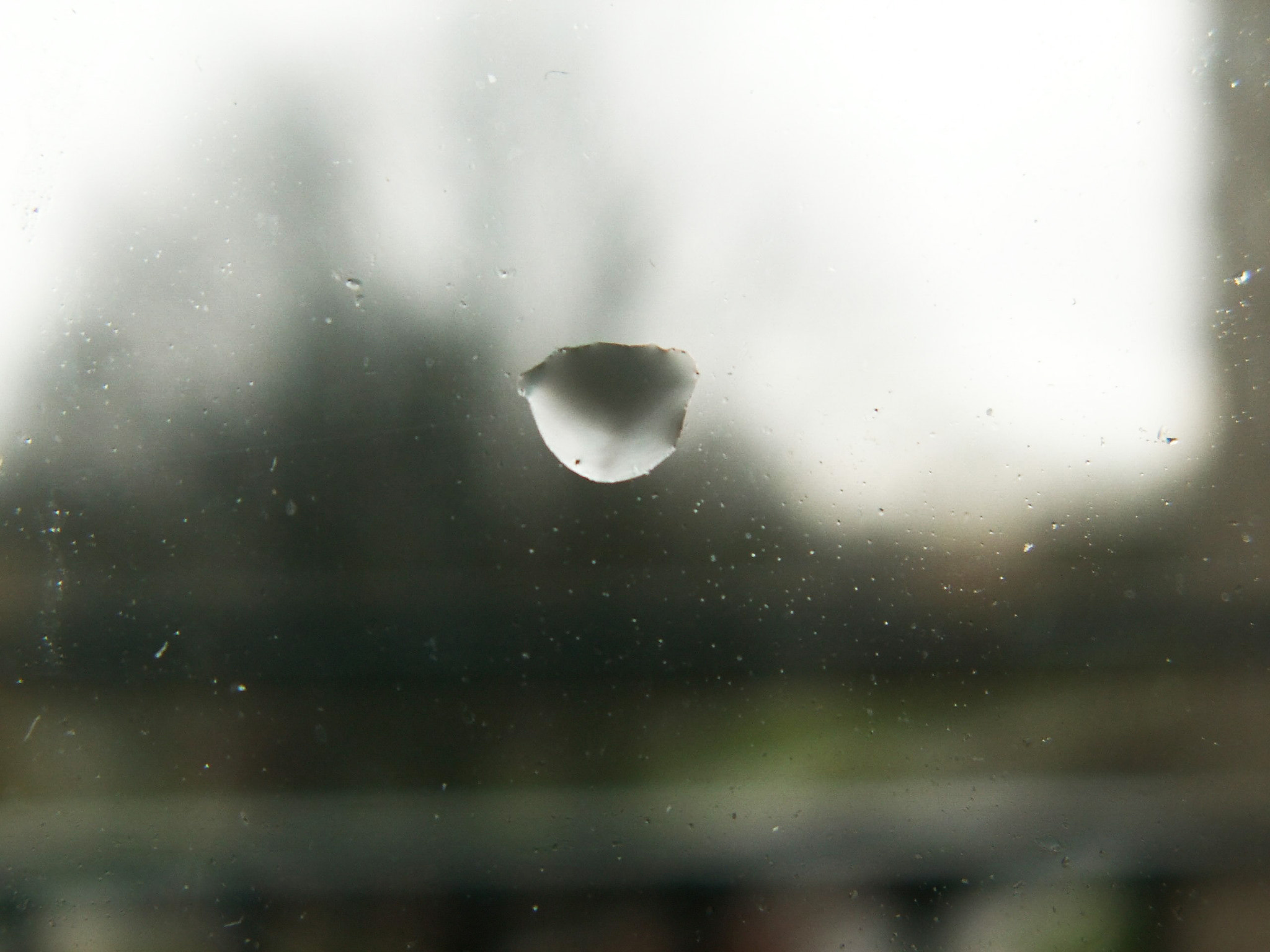KONICA MINOLTA DiMAGE Z5 sample photo. Drop photography